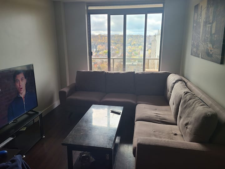 Lovely 1-bedroom Rental Unit In Downtown Hamilton - Hamilton