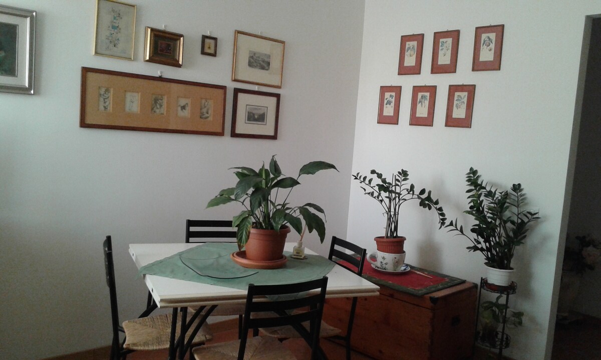 Top Airbnb: DaLuca, cozy apartment near the city center a Pisa
