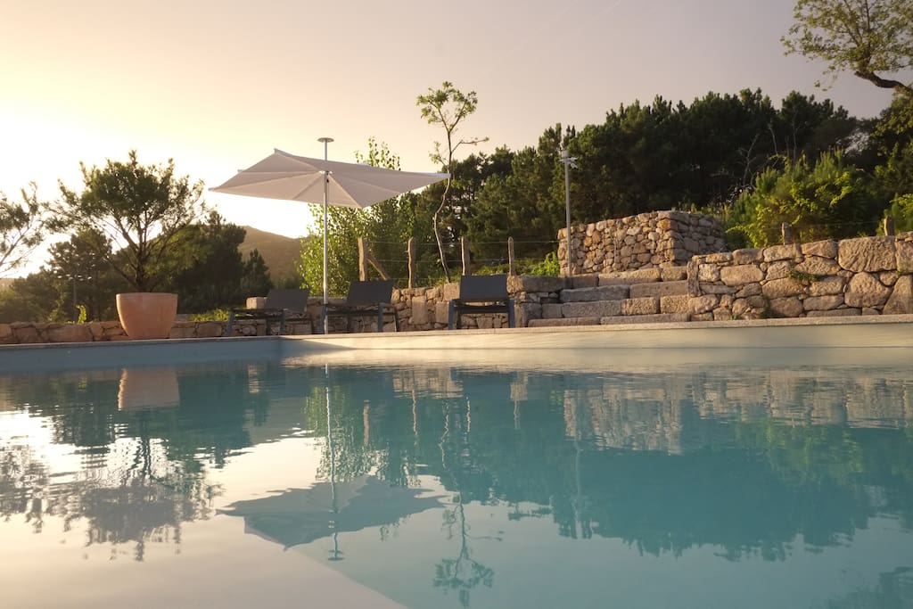Pool at cocktail hour