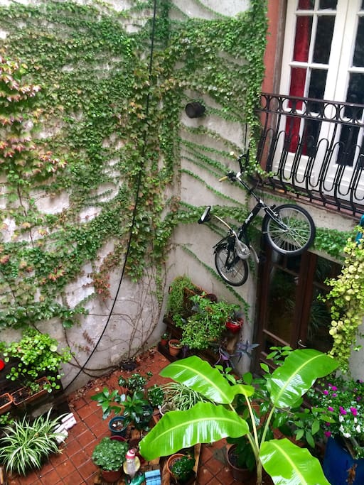 Un hermoso patio para disfrutar de un descanso tomando aire fresco.