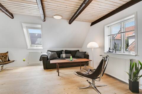 Stay in charming city center and beautiful Varde Garten