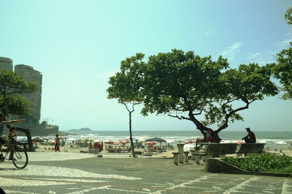 Praia de Pitangueiras