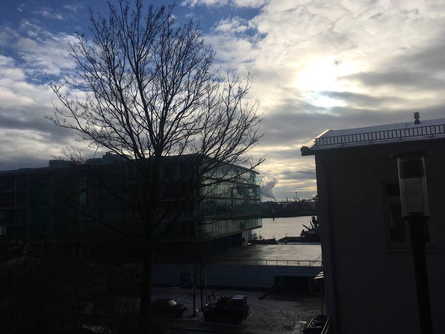 view from the living room