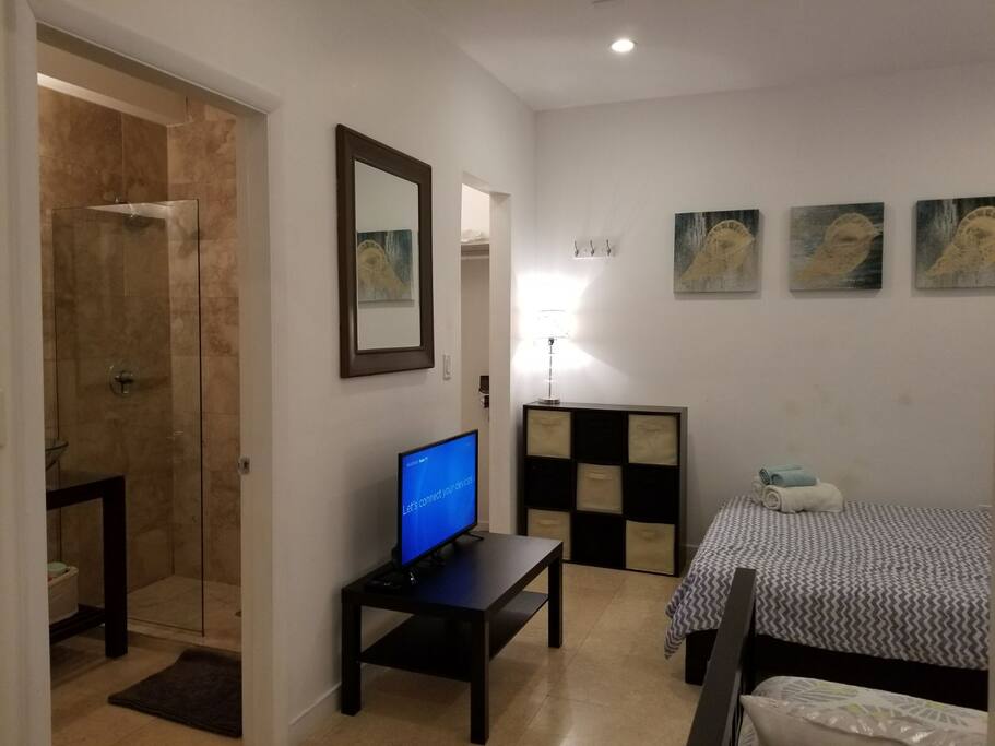 Bedroom and Bathroom - Pocket Door
