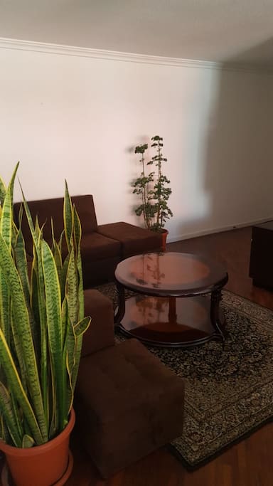 sala