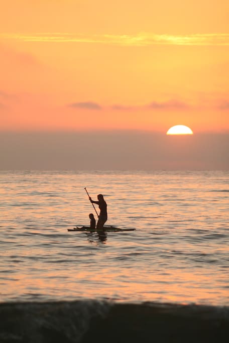 Stand-up Paddle Board (provided)