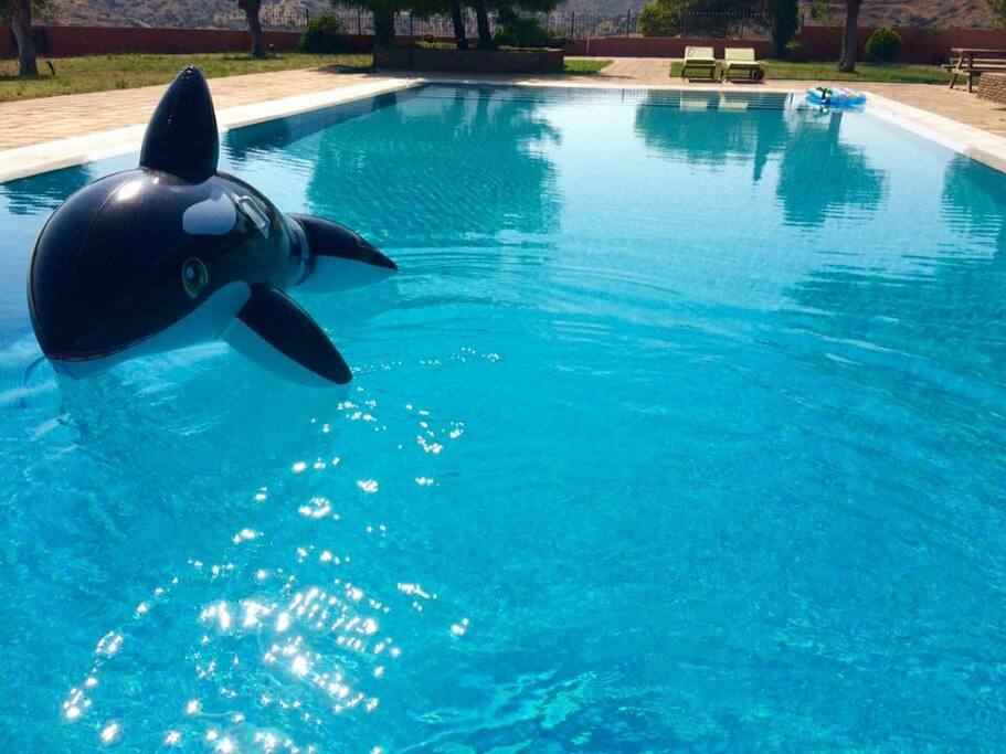 Enjoy the sun and the pool