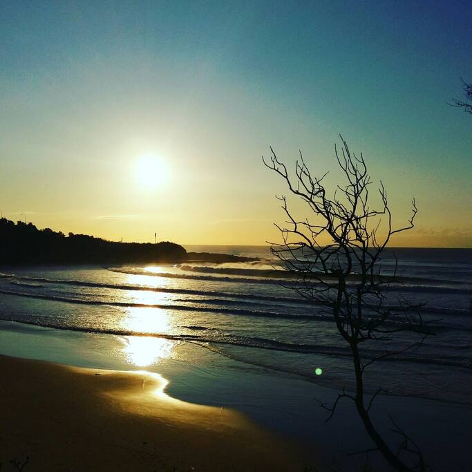 Freshwater Beach - approx 10 minute stroll away