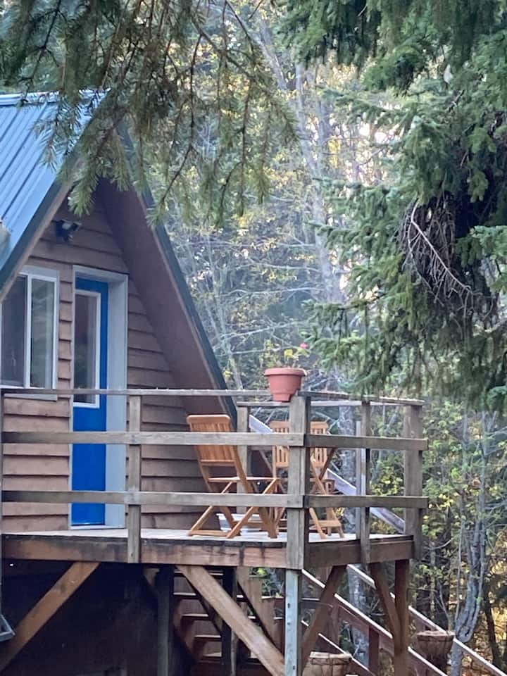 Haines Vacation Rentals & Homes Alaska, United States Airbnb