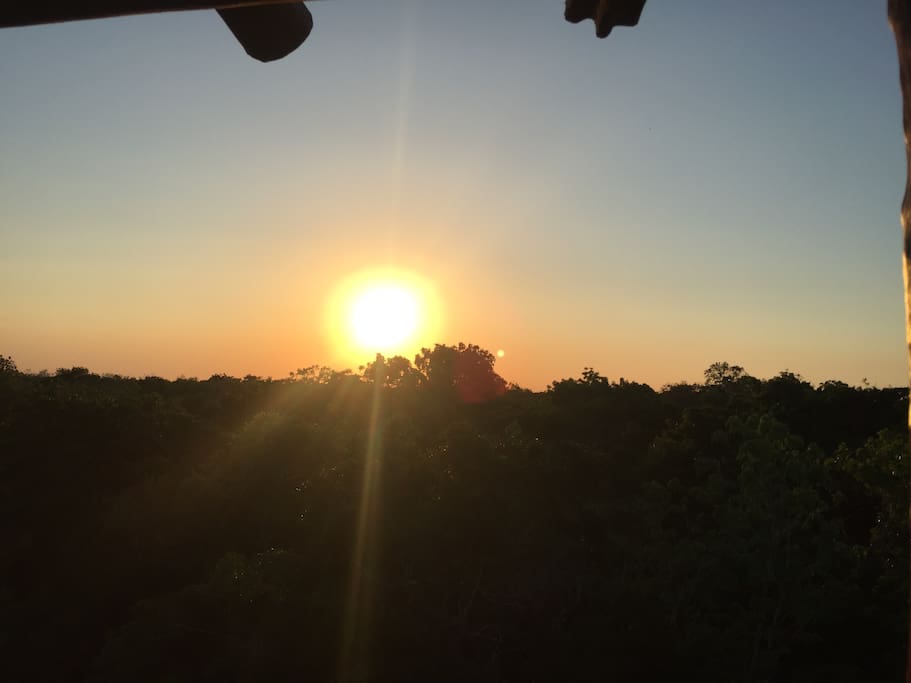 Puedes disfrutar de los atardeceres de la selva desde la torre