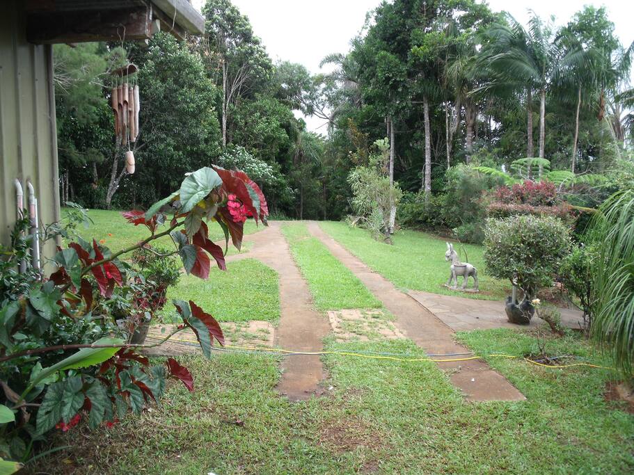 Looking towards the Rainforrest Tunnel