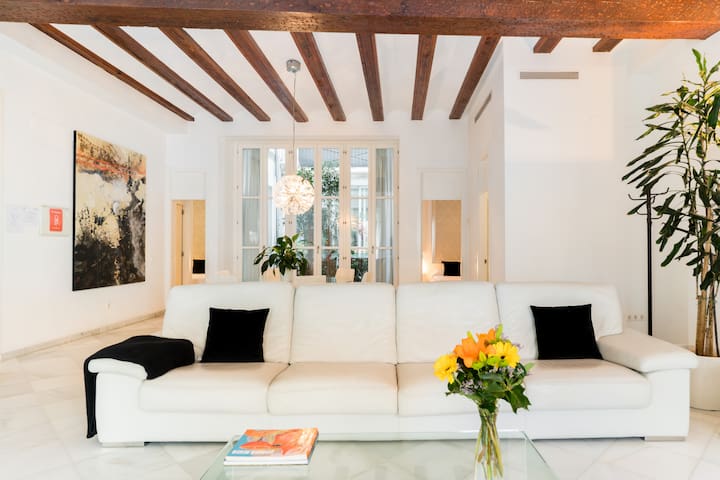 HOME IN VALENCIA AT PLAZA DE LA REINA-CATEDRAL