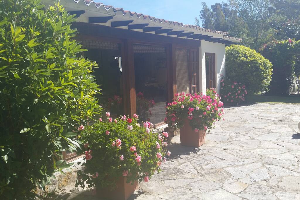 Terraza