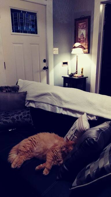 flip down couch can support under 150 pounds (plugs in usb and elextronics inside arm rests)