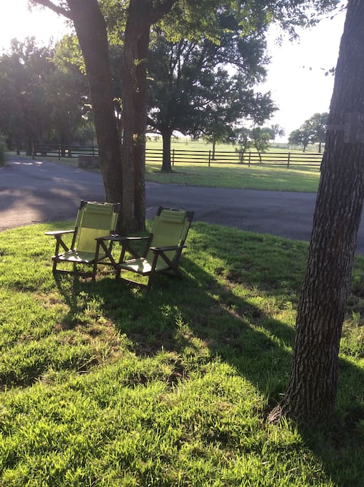 Coffee in the morning under the trees....