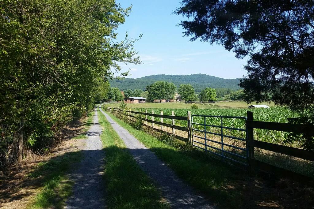 Entrance to the Estate..