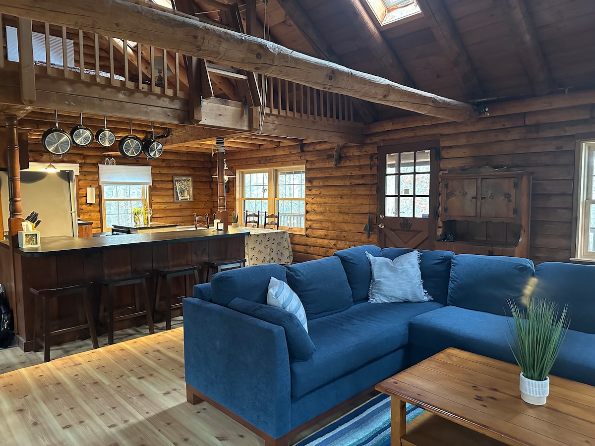An open living space features a cozy blue sofa with a decorative plant on a wooden coffee table. Natural light floods in through strategically placed windows, highlighting the rustic wooden walls and ceiling. The kitchen area with bar stools is visible in the background.