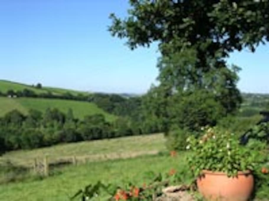 Summer view from Wigham