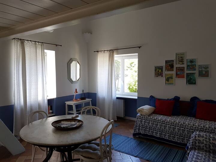 Delightful little garden house