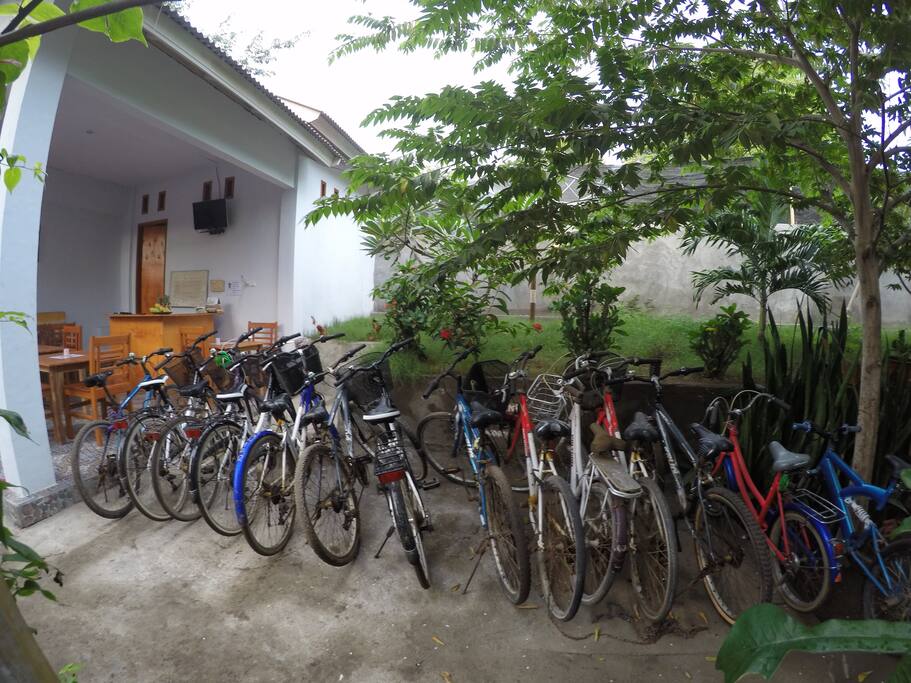 bike for FREE