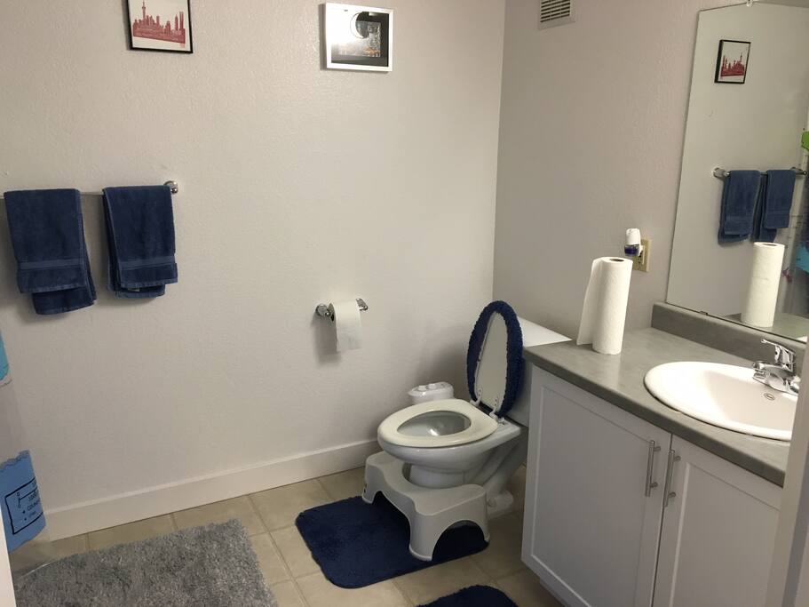 Yes that is a squatty potty!