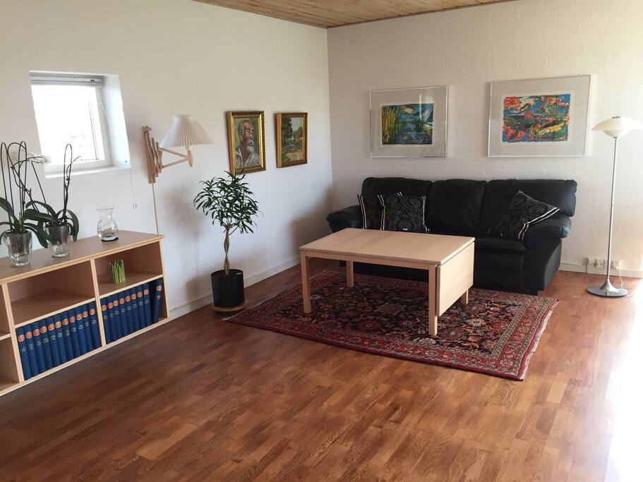 Opholdsstue