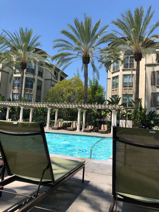 Swimming Pool Day View