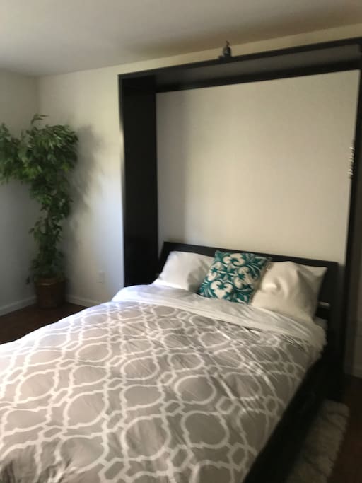 Murphy Bed