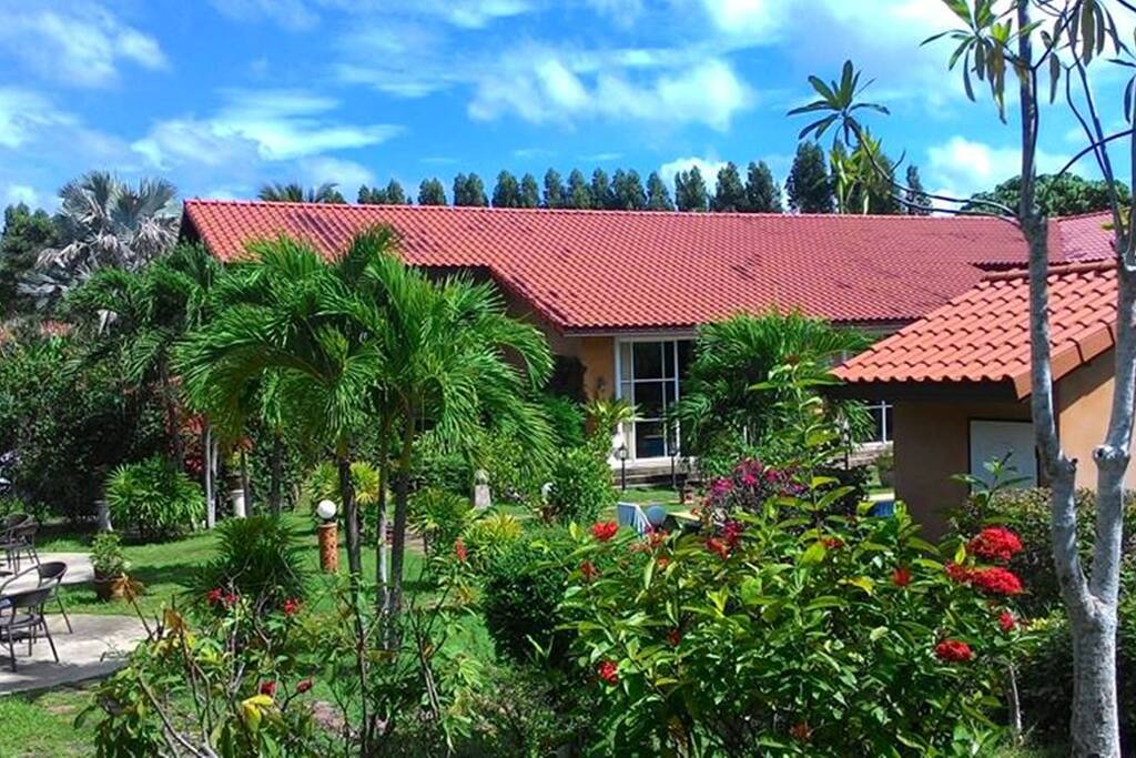 Exterior garden