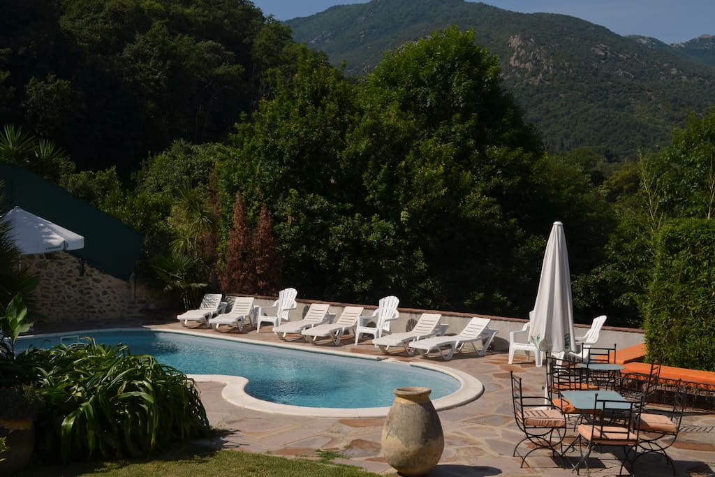 La piscine