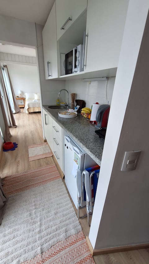 Popular Airbnb listing: An apartment with an ocean view in Montevideo