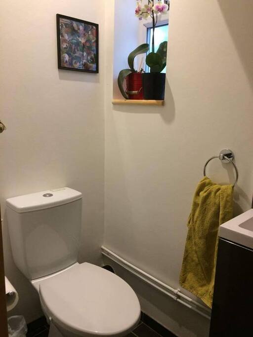 Downstairs toilet