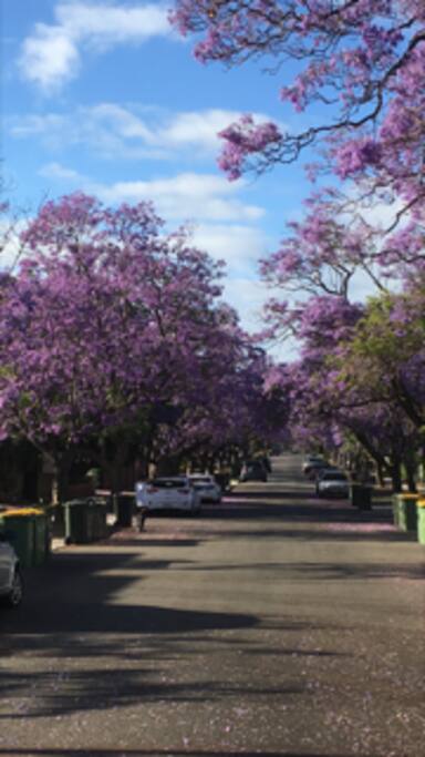 Beautiful South Perth , with lots of emenities and close to Perth City.