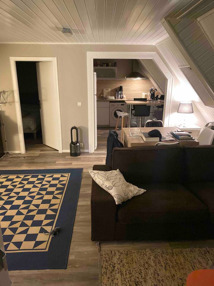 2 rooms ,terrace, pedestrian area, air-conditioned,