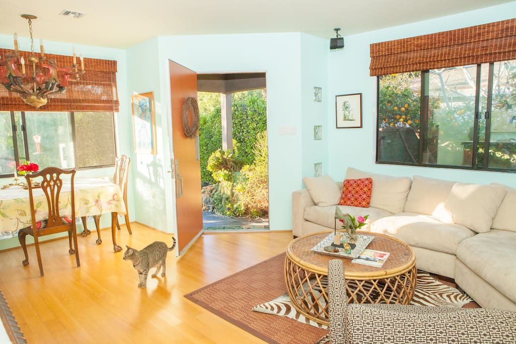 Front room.