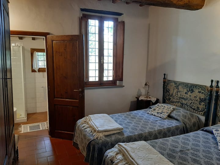 bedroom with bathroom-shower ensuite