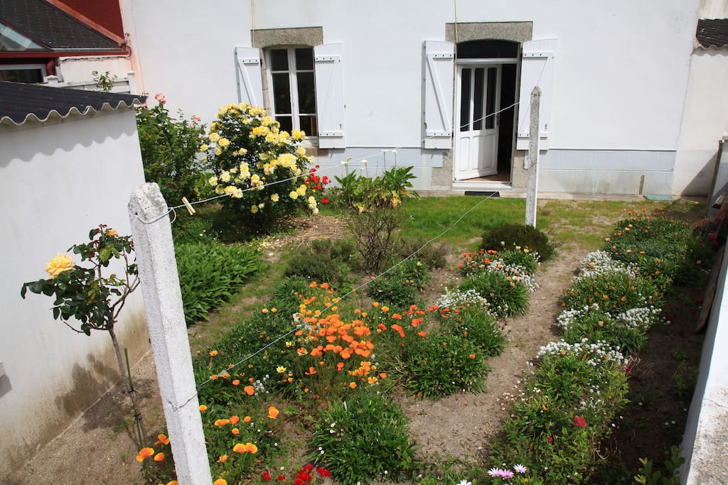 Le petit jardin