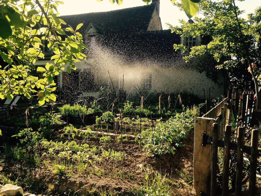 Le potager
