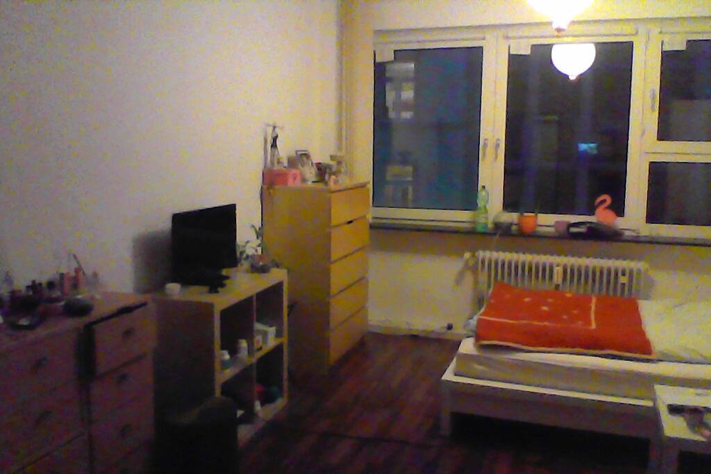 zimmer