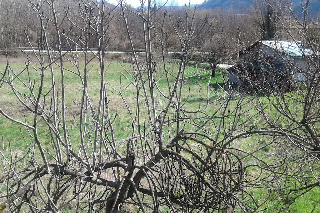 Veduta dalle camere