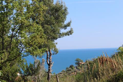 PioppiHouse     Villa