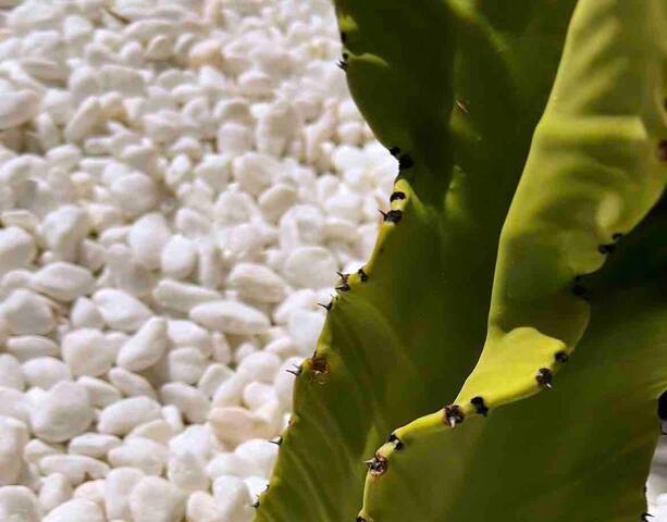 Artist Designed, Cosy Coastal Holiday Home gallery image 4