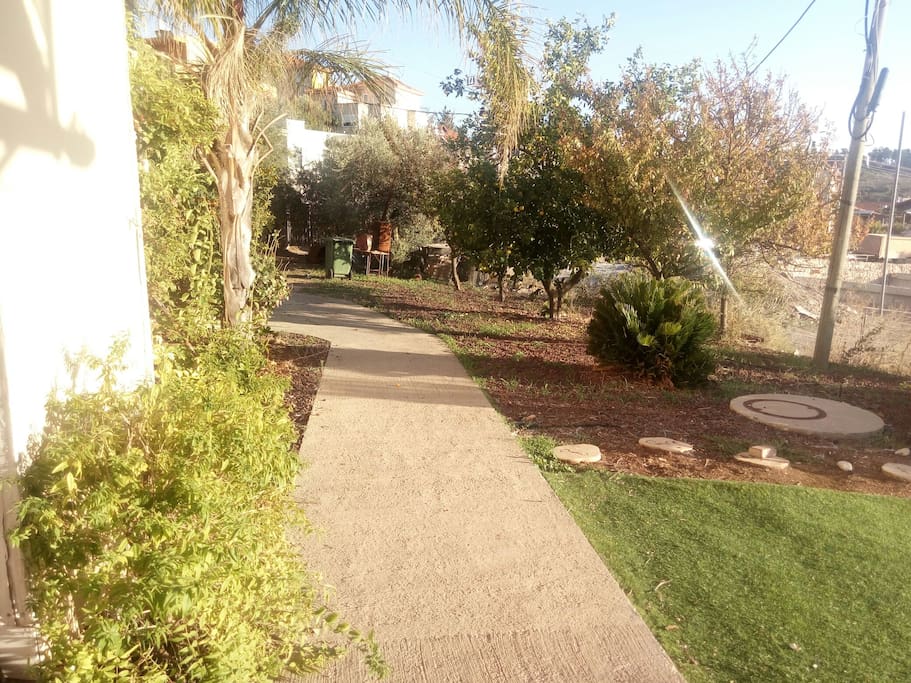 garden
