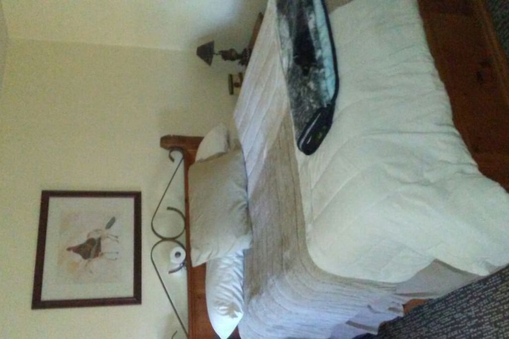 Queen bed master