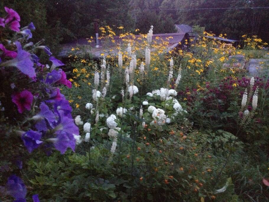 Flowers