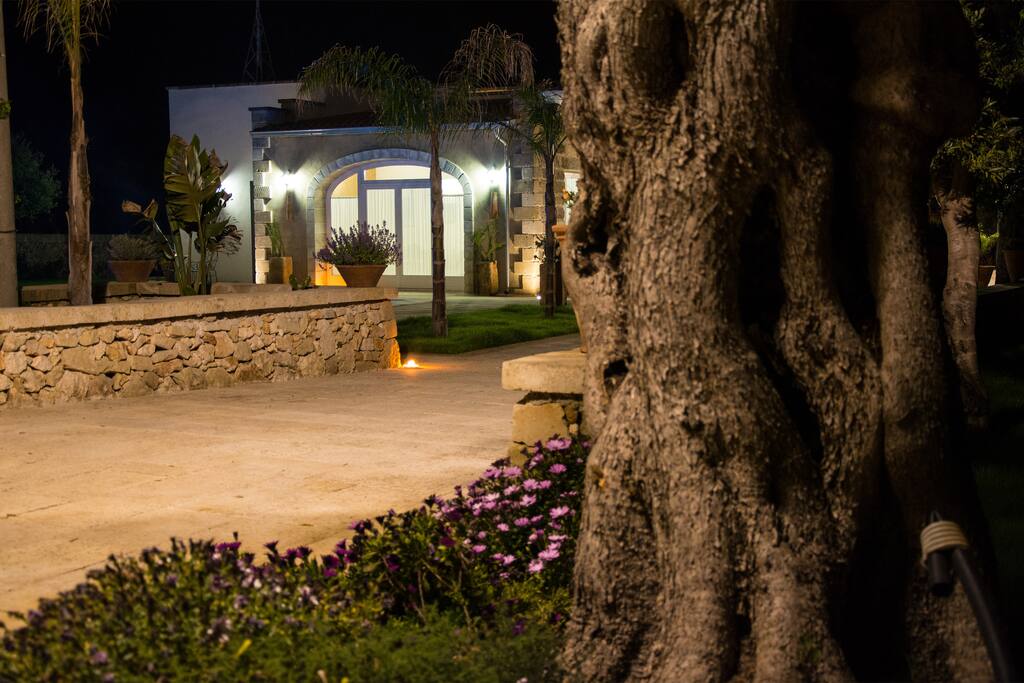Giardino di notte.