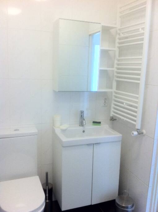 private bathroom with shower on the floor
