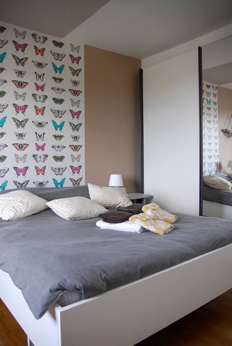 kamer Dolfijn