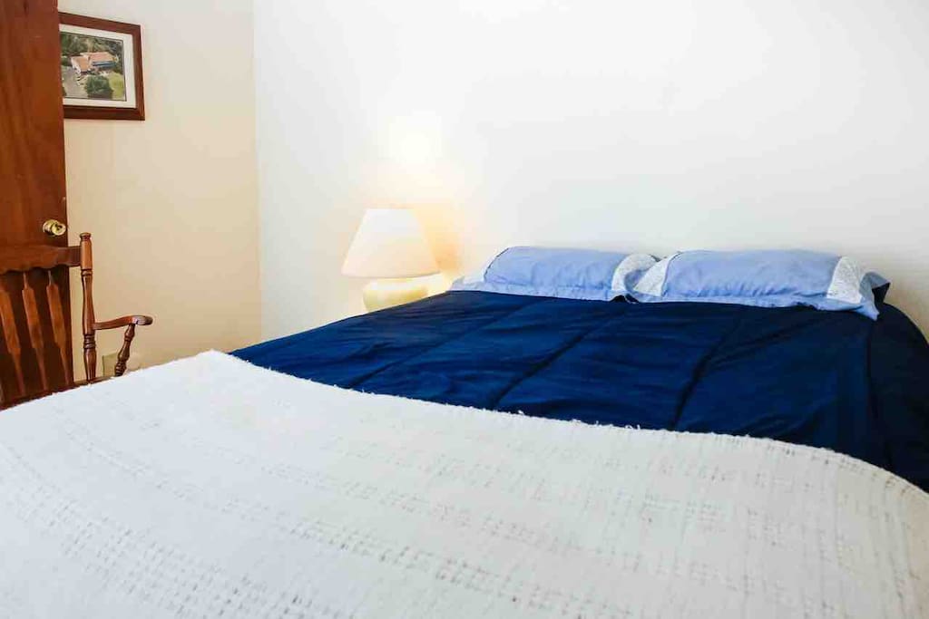 Spacious bedroom with queen size bed and custom made book shelves equipped with low level lighting.