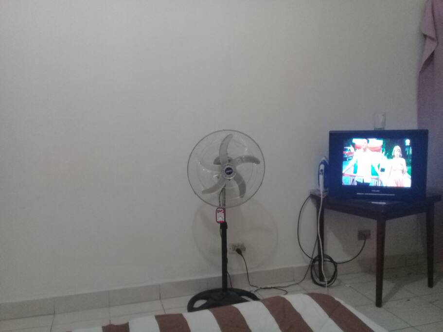 Tv y Ventilador